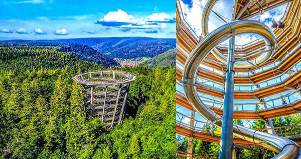 트리탑 탐방로Tree-top Walk.성인 입장료 13.5유로. 숲 위 하늘을 걸으면서 숲이 뿜어내는 피톤치드를 흠뻑 마신다. 오른쪽 사진의 미끄럼틀 이용료는 2유로. 거적을 깔고 탄환처럼 내리쏘아져 스릴 만점이다. 사람들의 비명 소리가 들린다.