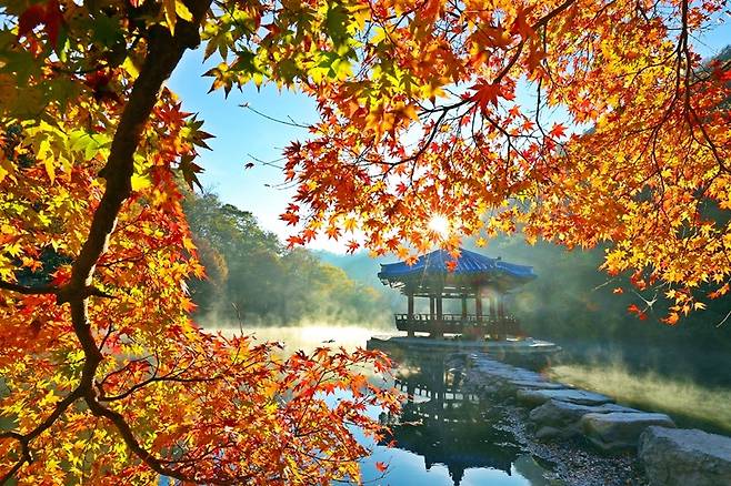 정읍 내장산 우화정