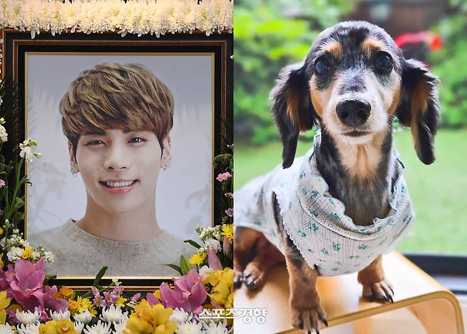 샤이니 멤버 고 종현 영정사진(왼쪽)과 그가 생전 키웠던 반려견 루. 경향신문 자료사진·루 인스타그램 계정