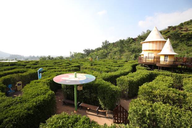 해남 두륜미로파크.