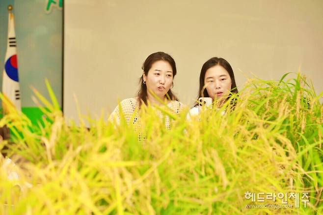 30일 열린 제16회 서귀포농민회 어린이벼농사대회.