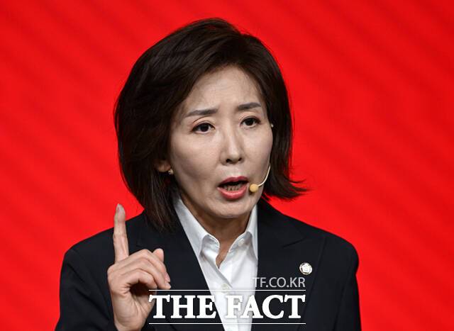 나경원 국민의힘 의원이 법제사법위원회 간사직 수락을 두고 '빠루 사건'을 언급한 김현 의원의 발언에 "나와 국힘에 대한 명백한 명예훼손"이라고 비판했다. /더팩트 DB