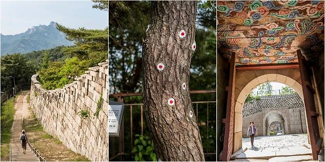 (좌로부터)아기자기한 재미가 있는 백악 구간, 1·21 사태’ 소나무, 창의문