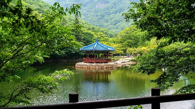 풍경을 즐기고 싶은데 등산이 힘들다면!