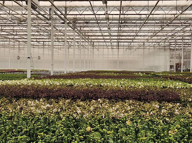 충남도 농업기술원에서 운영하고 있는 충남 스마트팜 경영실습장 모습.