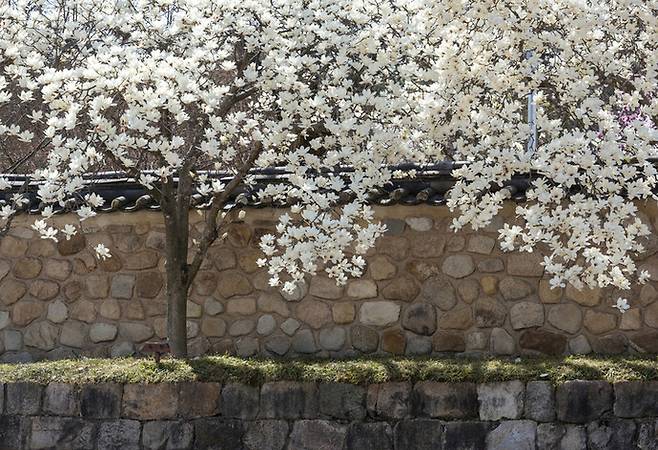 게티이미지뱅크