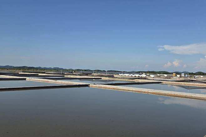 전남 신안군 태평염전. 사진=안혜원 기자