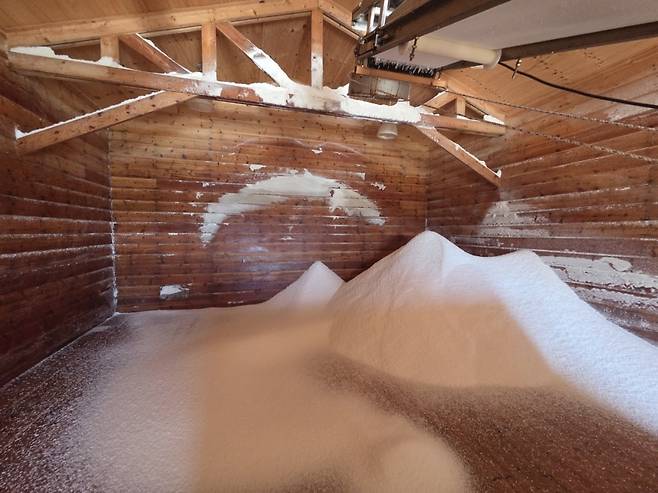 사진=안혜원 기자