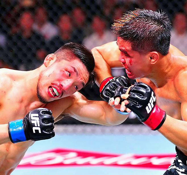 Road to UFC 시즌2 밴텀급 토너먼트 준우승자 샤오룽이 2025년 8월 중국 상하이다우타이에서 UFC 정규 데뷔 2연승을 거두기 위해 Road to UFC 시즌3 밴텀급 토너먼트 우승자 유수영을 팔꿈치로 때리고 있다. 사진=TKO