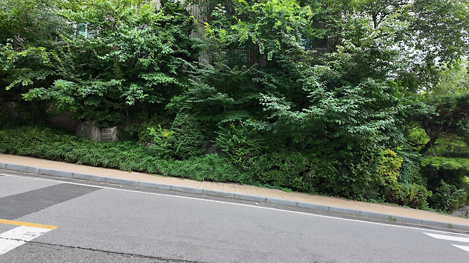 관악드림타운 단지 내 경사 모습. [안경찬PD]