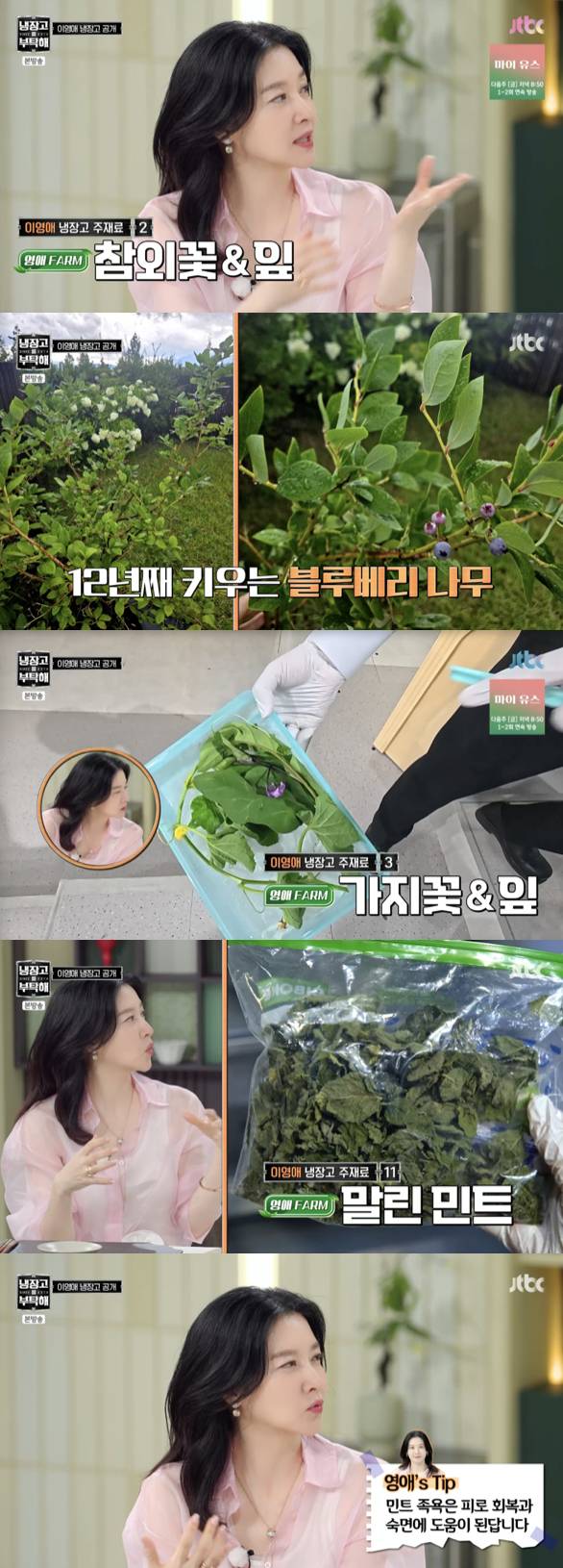 /사진='냉장고를 부탁해' 방송화면 캡쳐