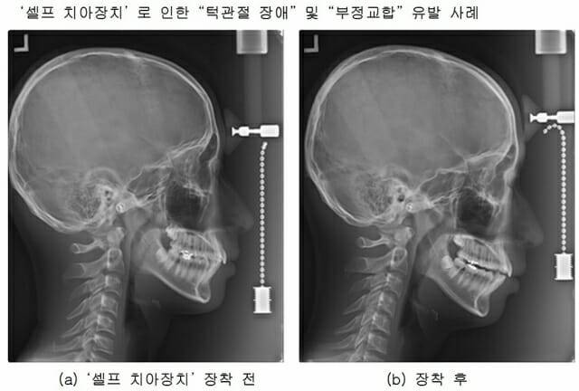 (제공=대한치과의사협회)