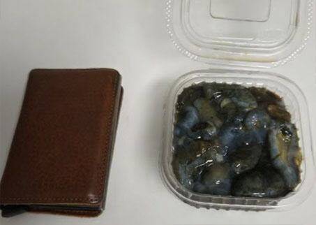 부산 자갈치 시장의 한 유명 횟집에서 해삼 한 접시에 7만원을 결제해 논란이 되고 있다. /인스타그램 캡처