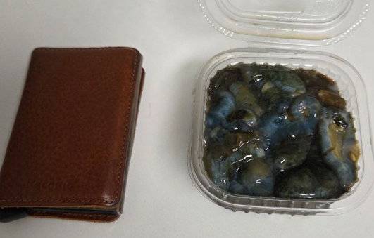 A씨가 받았다는 해삼. A씨는 해삼이 카드지갑과 비슷한 크기에 담길 정도의 양으로 “2~3마리 분량에 불과했다”고 주장했다. (출처=보배드림 캡처)