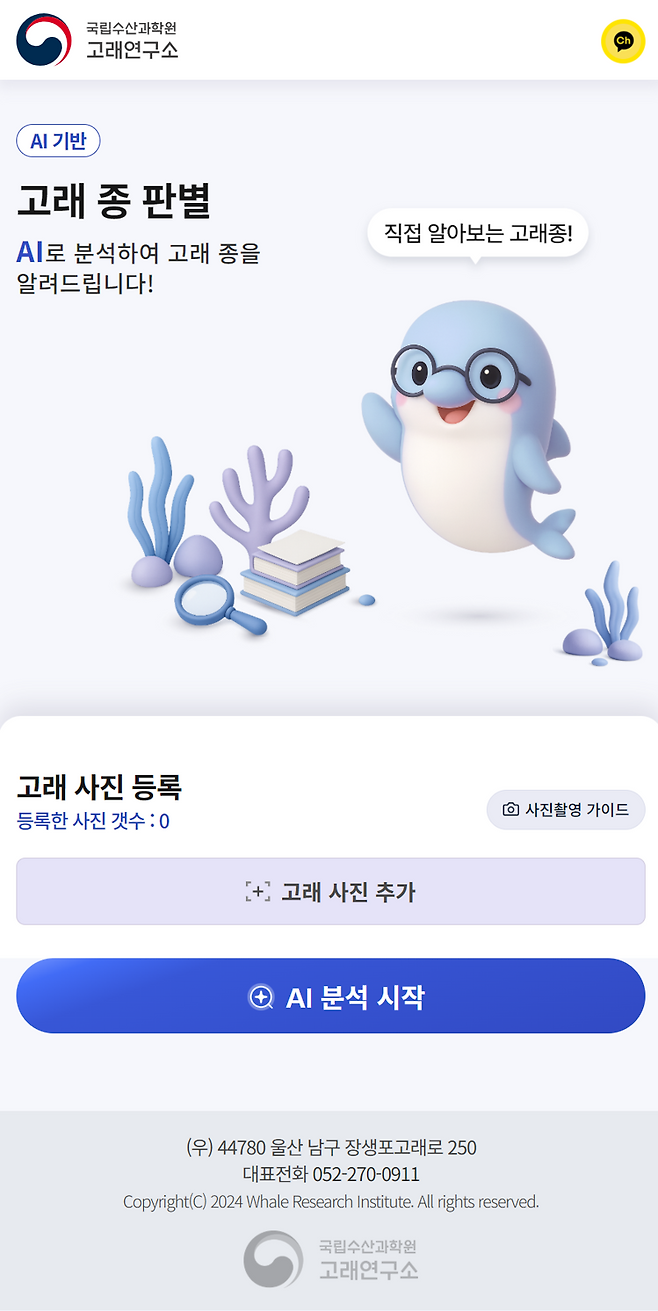 "고래를 보셨나요? 사진을 올리면 AI가 알려드립니다"