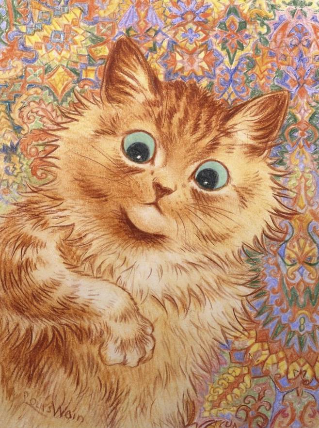 생강빛 고양이.