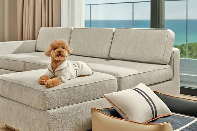 사진=신라모노그램 강릉