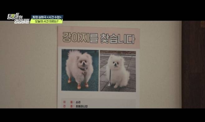문이 닫힌 집 안에서 홀로 있다 감쪽같이 사라진 반려견 실종 미스터리를 집중 조명한다. /사진=탐정들의 영업비밀 제공