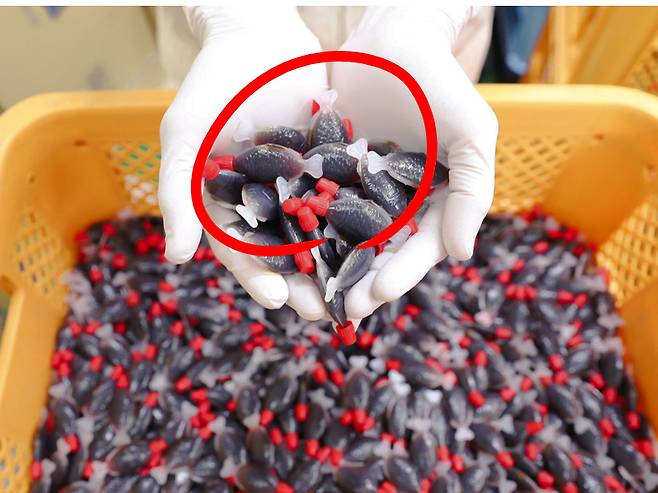 [아사히 소교 홈페이지 캡쳐]