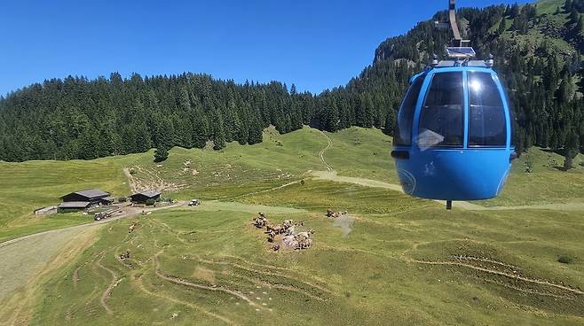 케이블카에서 바라본 자이저 알름의 고산 초원 [촬영 이재현]