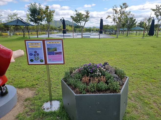 세종호수·중앙공원에서 특별 전시되는 아스타. /세종시설관리공단 제공