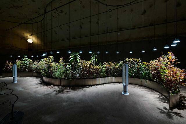 ▲ 유화수 作, 잡초의 자리, 2025