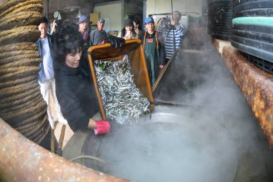 FAO 세계중요농업유산(GIAHS) 현장 실사단이 죽방렴 어업현장을 직접 체험하고 있다.