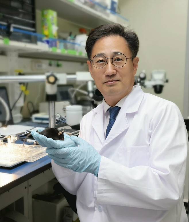 김대수 KAIST 뇌인지과학과 교수.(사진=KAIST)