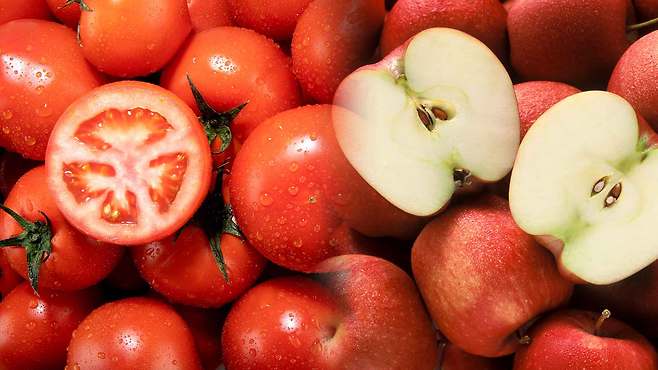 사진출처 : 클립아트코리아