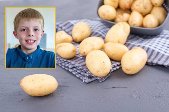 영국에서 7년 동안 감자만을 섭취하던 8세 남아가 최면치료를 통해 음식 공포를 극복하고 정상적인 식습관을 되찾은 사례가 보고됐다. [배경 사진=게티이미지뱅크/ 사진=환아 가족 SNS]
