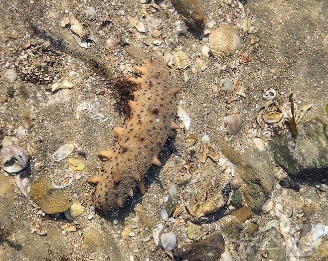 (사진은 기사 내용과 무관함) / 뉴스1 ⓒ News1