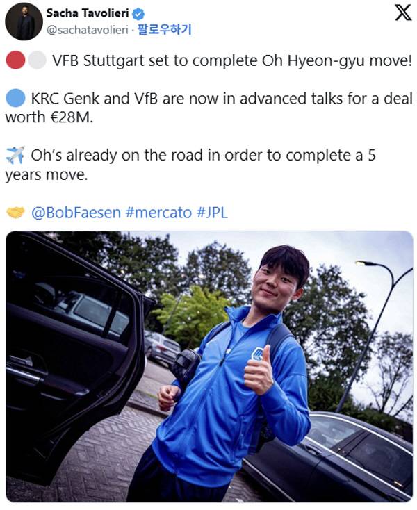 샤샤 타볼리에리 SNS 캡쳐