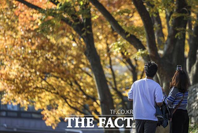 2일 기상청에 따르면 지난달 17일부터 23일까지 엘니뇨·라니냐 감시구역의 해수면 온도는 평년보다 0.4도 낮으며, 적도 서태평양 지역에 동풍이 강화되는 라니냐 발달 시기의 특징을 보이고 있다. /뉴시스