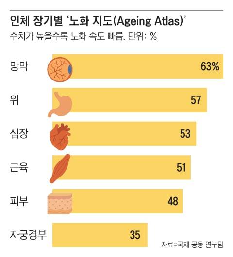 그래픽=조선디자인랩 정다운