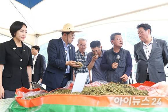 2일 경주시가 신규사료작물 알팔파 재배기술 보급 연시회를 열고 있다. [사진=경주시청]