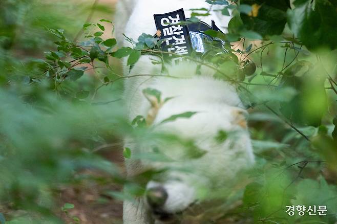 상만이가 구조대상자를 찾기 위해 산을 수색하고 있다.