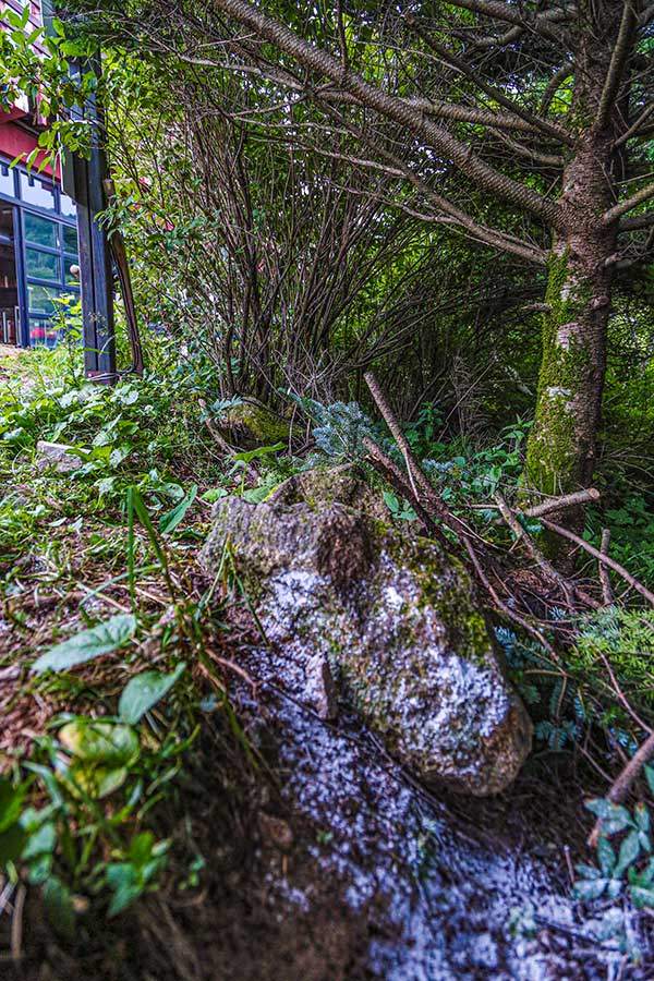 사람의 눈이 잘 닿지 않는 으슥한 곳에 정체불명의 하얀 물질이 있다. 직원들은 이것이 음식물쓰레기 투기로 발생한 곰팡이라고 했다.