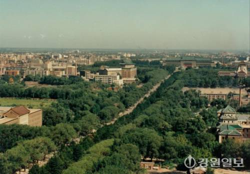 1987년의 신민대가