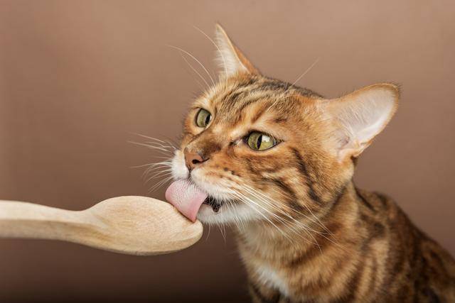 게티이미지뱅크