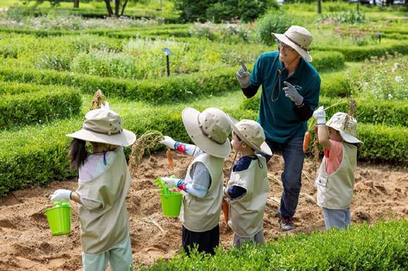 켄싱턴호텔 평창 프렌치 가드닝 스쿨에서 채소 수확 체험을 하는 아이들. [사진=켄싱턴호텔앤리조트]