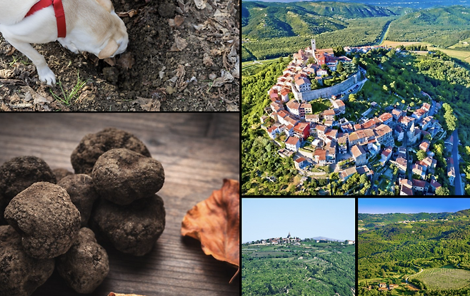 토분의 크로플 헌팅. 사진제공|크로아티아관광청/CNTB