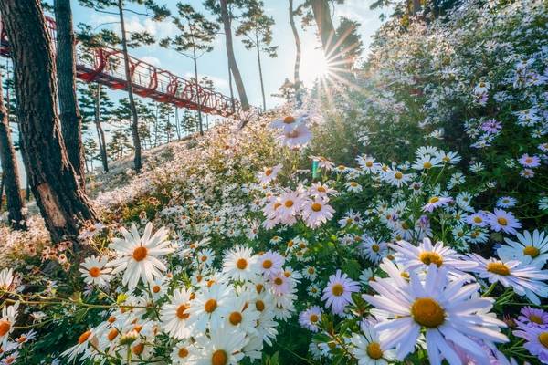 ▲ 산청 동의보감촌. /경남도