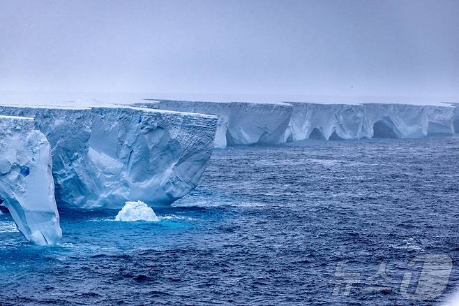 2024년 1월 14일(현지시간) 세계에서 가장 큰 빙산 A23a를 남극에서 촬영한 모습. <사진=롭 수이스티드 http://naturespic.com> 2024.01.14. ⓒ 로이터=뉴스1 ⓒ News1 윤다정 기자