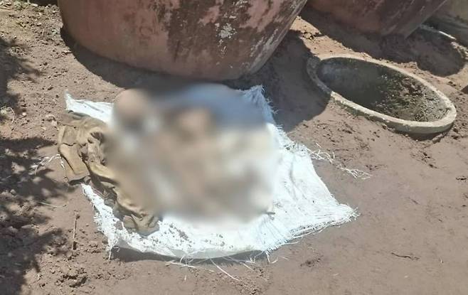 정화조에서 발견된 유해. /더타이거