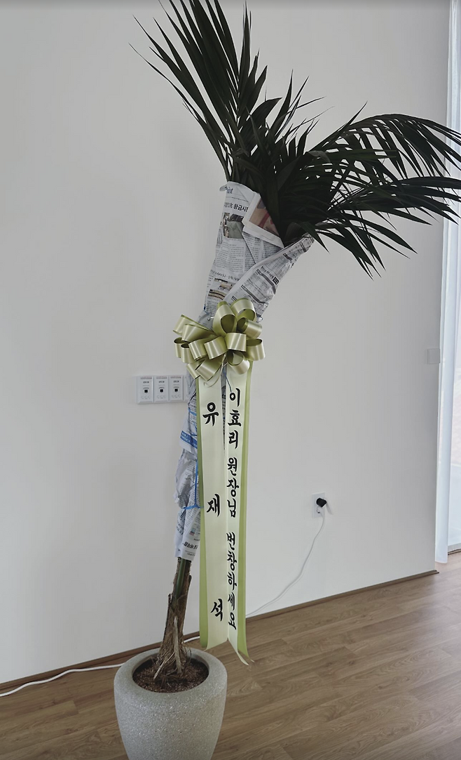 인스타그램 @ananda_hyori