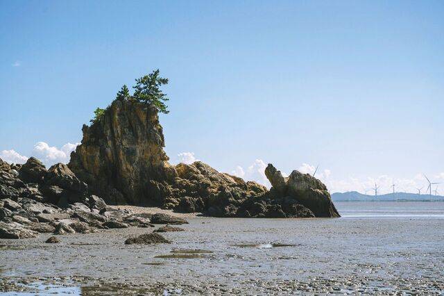 백수해안도로 인근 바다에 있는 거북바위.