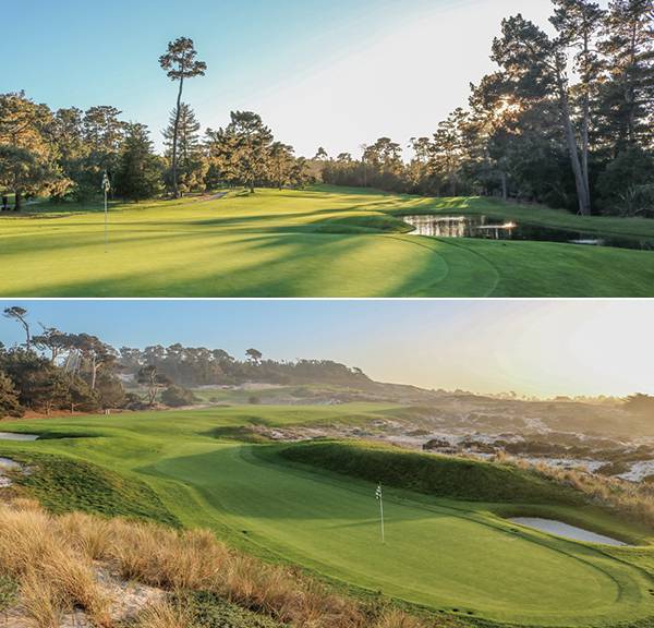 설계·디자인 Robert Trent Jones 
개장 연도 1966 홀(HOLE) 18 파(PAR) 72 
경사 145 야드(YARD) 6960 그린피 525달러