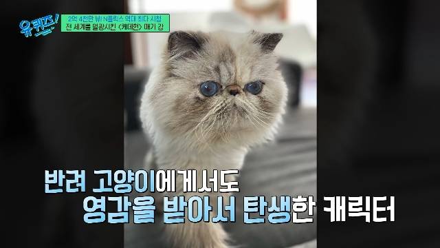 tvN ‘유 퀴즈 온 더 블럭’ 캡처