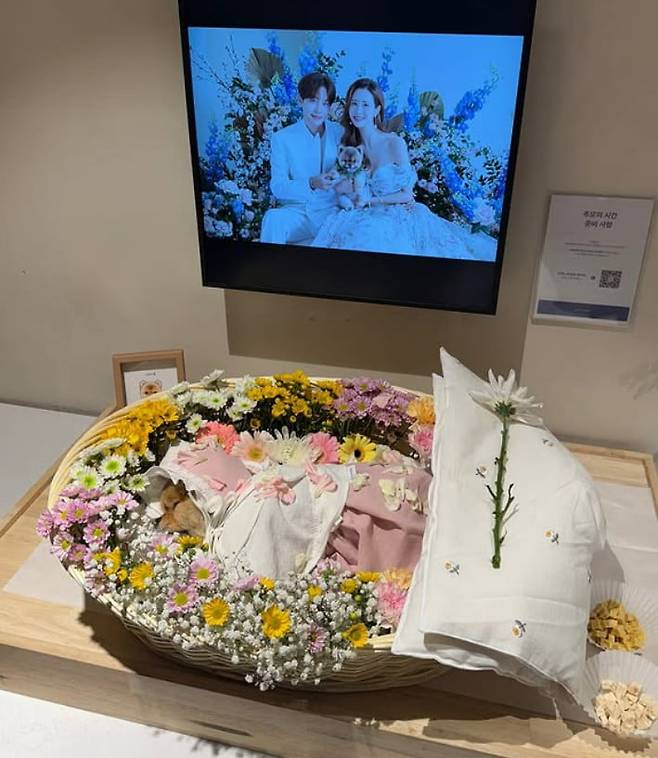 사진=이다해 SNS