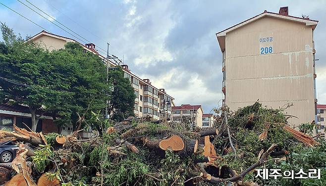 2024년 5월 관리처분계획에 따라 거주자 이주를 완료하고 건물 철거를 준비중인 이도주공2,3단지 재건축 아파트 현장. 제주시는 이도주공1단지에 대해서도 최근 관리처분계획을 인가했다. ⓒ제주의소리